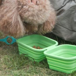 Silicone Collapsible Pet Bowl Double Portable Travel Bowl Equipped with Aluminum Hook Clip (Color: green)